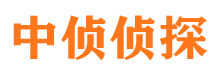 云梦侦探